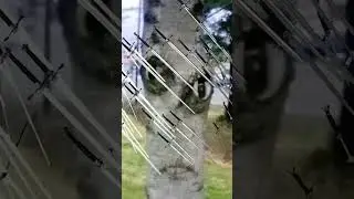#мемы