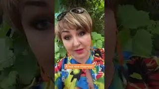 #вичка_алкоголичка