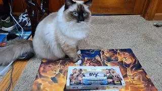 UFC Topps Knockout Hobby Box Battle With Zach's Collections