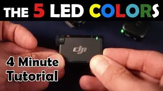 Mic Mini LEDs - What do they all mean?