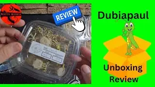 DUBIAPAUL.COM (Live food unboxing and review)