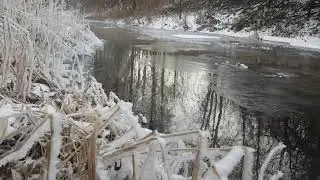 Зимний лес | Морозная прогулка ранней зимой