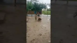 بچے کیچڑ میں گر گئے 😱😭 افسوس #funny #vellalog #motorcycle #villagevelog #duet