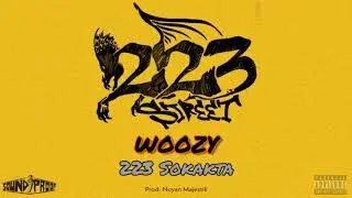 Woozy - 223 Sokakta (Prod. Noyan Majestik)