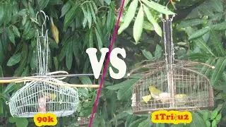 Bringing a 1Million2 Trap Cage and a 90K Cage to Trap Advice and Bitterness for Expensive Cages