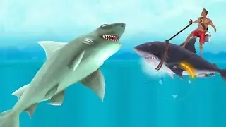 Giant Reef Shark - Hungry Shark Evolution | Hungry shark gameplay with Reef Shark