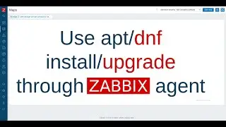 Manage Linux software by using Zabbix agent (failed)