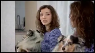 Шелти