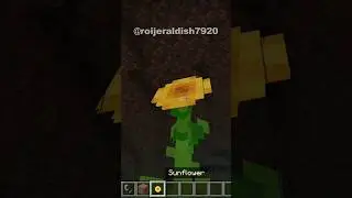 Tutorial on how to find a nether fortress #shorts #minecraft