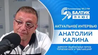 Актуальное интервью: Анатолий Калина - директор нацпарков "Куршская коса" и "Виштынецкий"