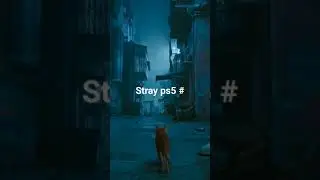 Stray