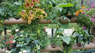 Hydroponics Backyard Fence Garden During Hot Summer Temperatures - Ebb & Flow (Flood & Drain)