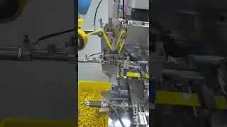 WEET Automatic Laser Marking for Capacitors Foil and Film PP Cap #audiocomponent #crossover #machine