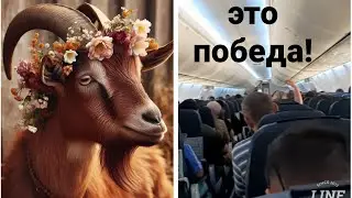 Приехали! А туууут!!!🤣