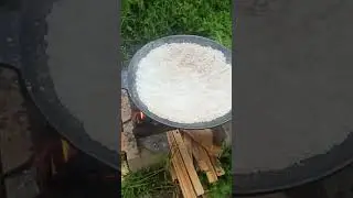 купили садж. готовим к работе