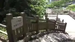 Vovan Japan гуляет в парке 2