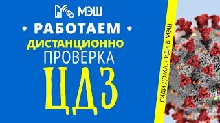 МЭШ. Как проверить ЦДЗ. Обратная связь. Индивидуальное домашнее задание. Как пережить карантин.