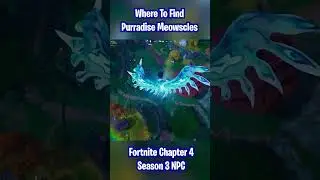 Where To FIND Purradise Meowscles NPC #fortnite #chapter4