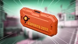 Dissection of a CS:GO Case | eSports 2013