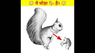 Mind Blowing Optical Illusion #shorts video in hindi new video #ytshorts
