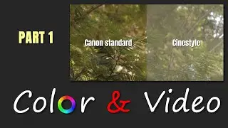 CANON Standard vs CINESTYLE Colors! | Colors & Video