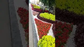 Харьков Клумбы #shorts