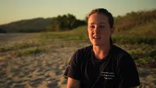 In Defense of Leatherbacks