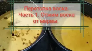 Перетопка воска. Часть 1. Отжим с помощью центрифуги без парогенератора