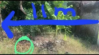 TANAH CIREBON MAJASEM DIBAWAH NJOP MURAH || LUAS 192meter ||