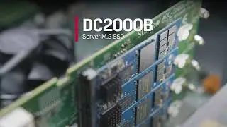 Kingston Digital DC2000B Solid-State Drive