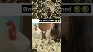 funny memes that I found on discord part 4 #memes #memesdaily #funnyshorts #shorts #dankmemes