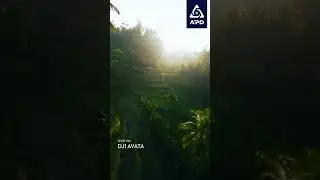FPV Vs Regular Drone
