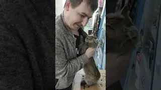 Ни одна🐁 не сбежит, не заплатив!