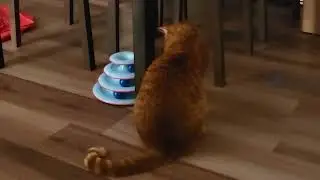 Tigger's attack on the Blue Temple