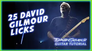 25 David Gilmour LICKS - To play a real Gilmour Style