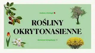 #17 Rośliny okrytonasienne - budowa, charakterystyka, cykl rozwojowy 🌳 matura biologia rozszerzona 📕