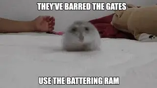 THEY'VE BARRED THE GATES