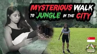 Mysterious Walk to Jungle in the City | Hiking | Singapore 🇸🇬