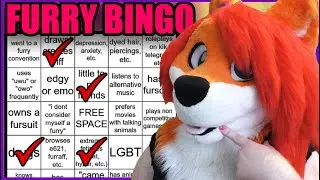 Furry Bingo