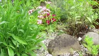 "Ein Steingarten in unserem Schrebergarten"- Wolfgang Schmökel