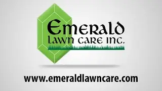 6 Tips For A Great Northwest Suburban Lawn