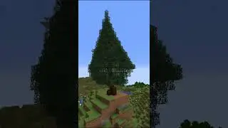 Je už pozdě na VÁNOČNÍ stromeček?