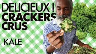 Chips CRUES de Chou Kale goût oignon-cumin - La Tête et Le Corps