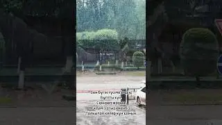 Ақ жауын