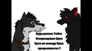 Куда делась Тобоэ, возвращение Крис и что будет дальше