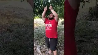 El viejito de la chiclera
