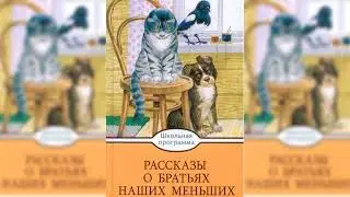 О братьях наших меньших, Большой сборник сказок аудиосказка слушать