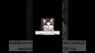 Самый выразительный кот  #shorts #tiktok #история #факты