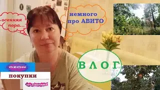 ВЛОГ.Осенняя пора.ПОКУПКИ Wildberries и OZON. Немного ПРО АВИТО.