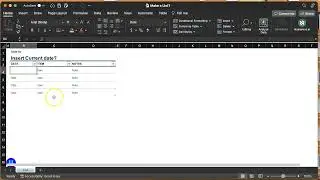 How to Insert Current Date on Excel for Mac